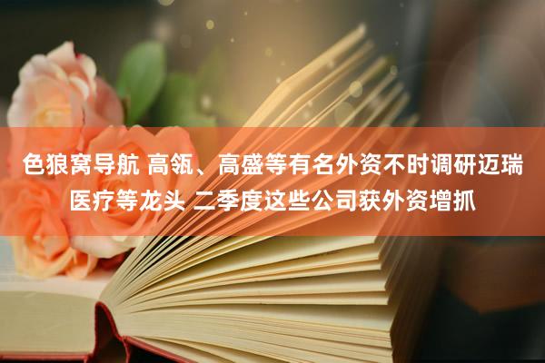 色狼窝导航 高瓴、高盛等有名外资不时调研迈瑞医疗等龙头 二季度这些公司获外资增抓