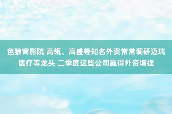 色狼窝影院 高瓴、高盛等知名外资常常调研迈瑞医疗等龙头 二季度这些公司赢得外资增捏