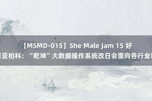 【MSMD-015】She Male Jam 15 好意思亚柏科：“乾坤”大数据操作系统改日会面向各行业怒放