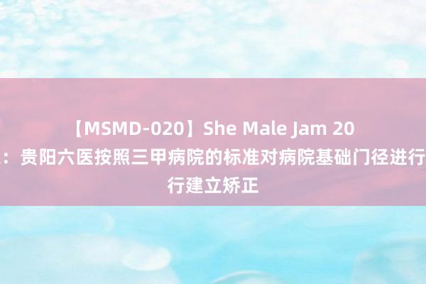 【MSMD-020】She Male Jam 20 朗玛信息：贵阳六医按照三甲病院的标准对病院基础门径进行建立矫正