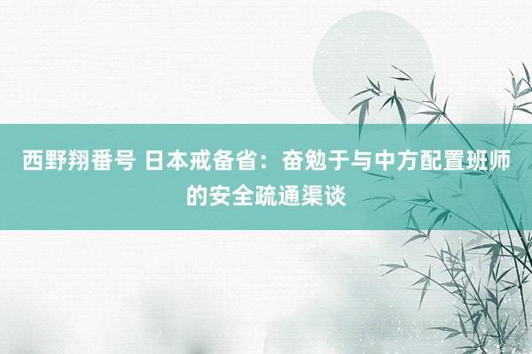 西野翔番号 日本戒备省：奋勉于与中方配置班师的安全疏通渠谈