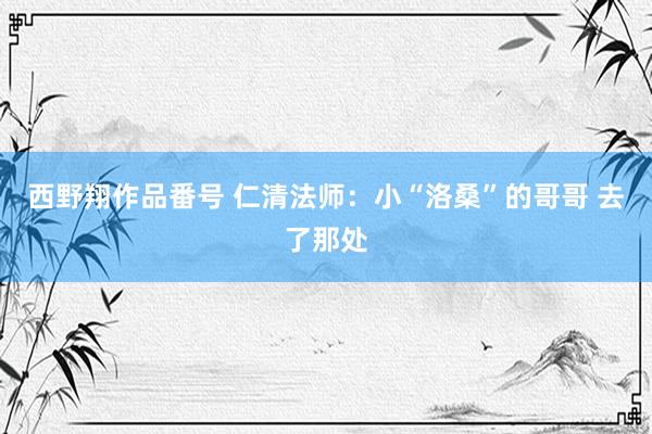 西野翔作品番号 仁清法师：小“洛桑”的哥哥 去了那处