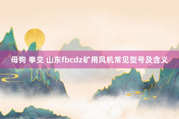 母狗 拳交 山东fbcdz矿用风机常见型号及含义