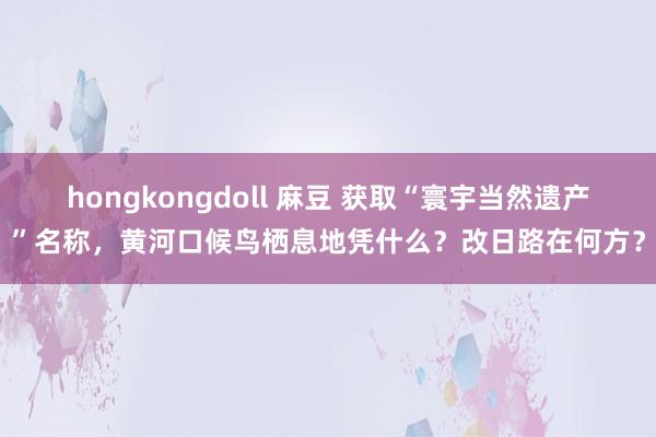 hongkongdoll 麻豆 获取“寰宇当然遗产”名称，黄河口候鸟栖息地凭什么？改日路在何方？