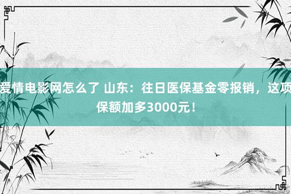 爱情电影网怎么了 山东：往日医保基金零报销，这项保额加多3000元！