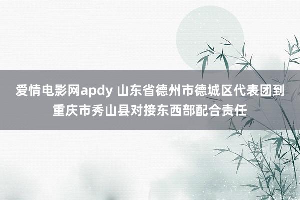 爱情电影网apdy 山东省德州市德城区代表团到重庆市秀山县对接东西部配合责任