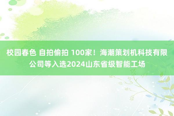 校园春色 自拍偷拍 100家！海潮策划机科技有限公司等入选2024山东省级智能工场