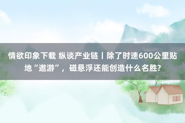 情欲印象下载 纵谈产业链丨除了时速600公里贴地“遨游”，磁悬浮还能创造什么名胜?