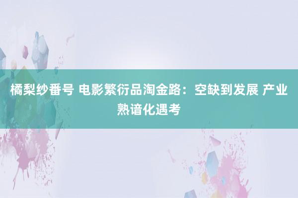 橘梨纱番号 电影繁衍品淘金路：空缺到发展 产业熟谙化遇考