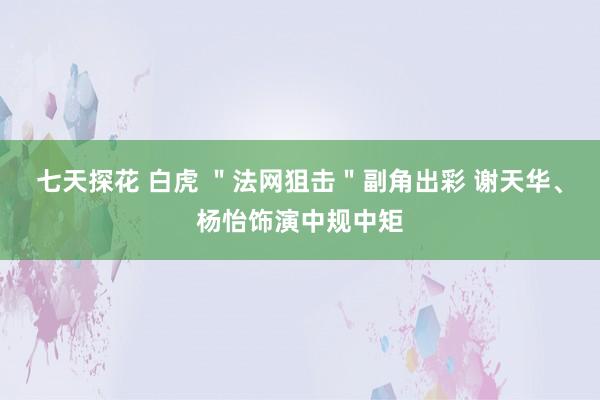 七天探花 白虎 ＂法网狙击＂副角出彩 谢天华、杨怡饰演中规中矩