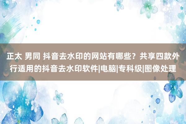 正太 男同 抖音去水印的网站有哪些？共享四款外行适用的抖音去水印软件|电脑|专科级|图像处理